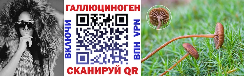 Галлюциногенные грибы Psilocybe  наркота  Октябрьск 